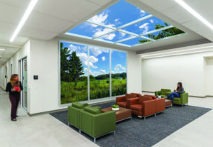 OpenView Luminous Virtual Windows, Sky Factory Inc.